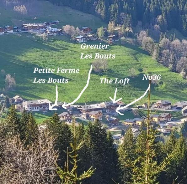 'Petite Ferme Les Bouts' Apartment, Sleeps 6, Nr Morzine La Cote d'Arbroz Exterior foto